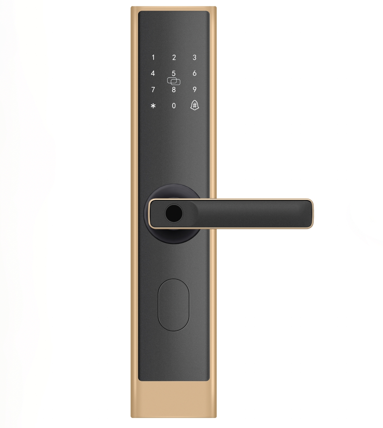 Smart Door Lock C200