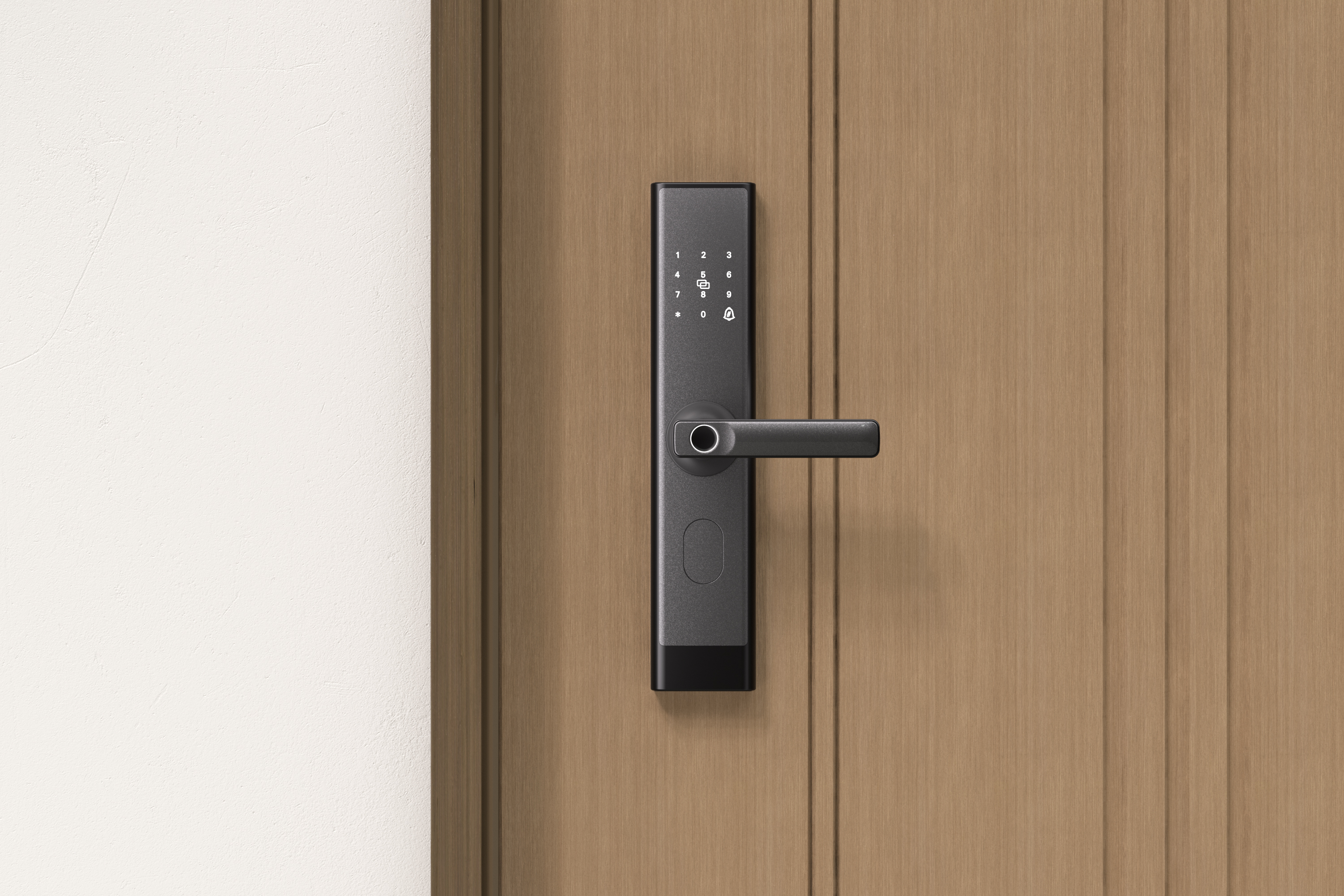 Smart Door Lock C200